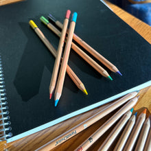 Load image into Gallery viewer, ForestChoice Color Pencils - Set of 12