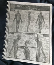 Load image into Gallery viewer, 2027 Traveler-Appointment Book/Planner, Spiral (8.5x 11)  Ships 10/1/26
