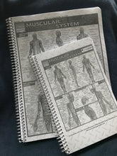Load image into Gallery viewer, 2027 Little Traveler-Appointment Book/Planner, Spiral (5.5x8.5)  Ships 10/1/26
